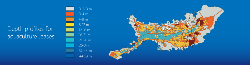 GIS and Imaging