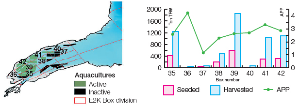 ECOWIN Modelling